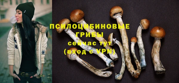 PSILOCYBIN Богородск